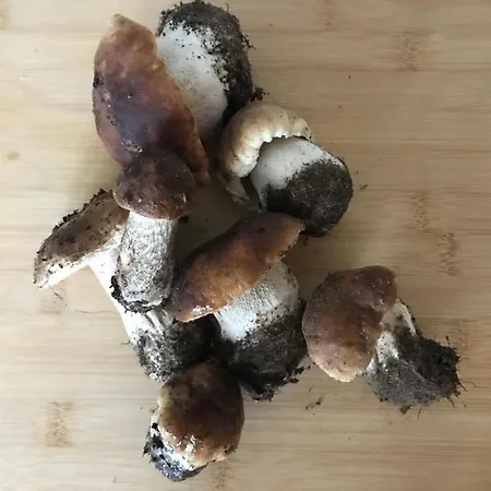 Mazurska Stodoła Na Półwyspie Pilchowskim * Szczechy Male