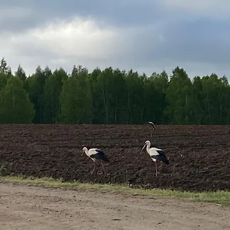 Willa Mazurska Stodoła Na Półwyspie Pilchowskim *