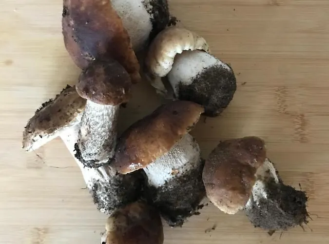 Mazurska Stodoła Na Półwyspie Pilchowskim * Szczechy Male