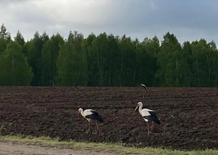 Willa Mazurska Stodoła Na Półwyspie Pilchowskim *